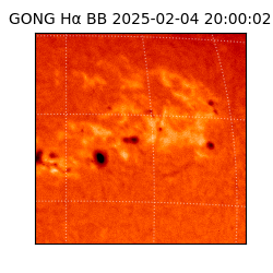 gong - 2025-02-04T20:00:02