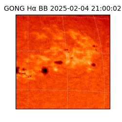 gong - 2025-02-04T21:00:02