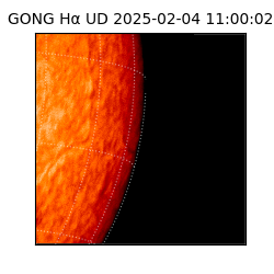 gong - 2025-02-04T11:00:02