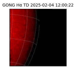 gong - 2025-02-04T12:00:22