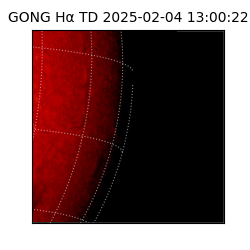 gong - 2025-02-04T13:00:22