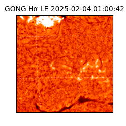 gong - 2025-02-04T01:00:42