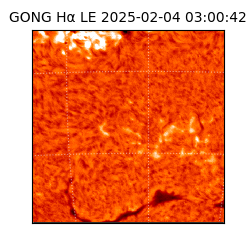 gong - 2025-02-04T03:00:42