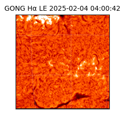 gong - 2025-02-04T04:00:42