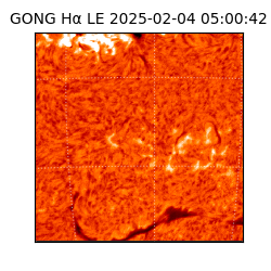 gong - 2025-02-04T05:00:42