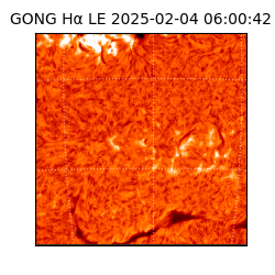 gong - 2025-02-04T06:00:42