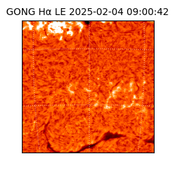 gong - 2025-02-04T09:00:42