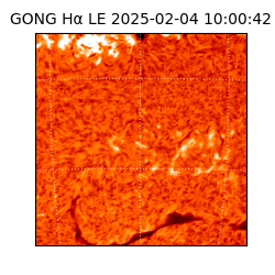 gong - 2025-02-04T10:00:42