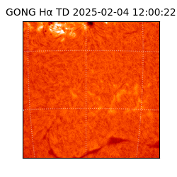 gong - 2025-02-04T12:00:22