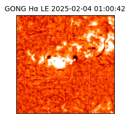 gong - 2025-02-04T01:00:42