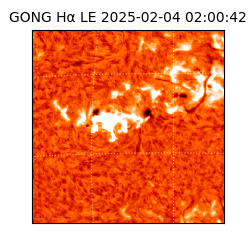 gong - 2025-02-04T02:00:42