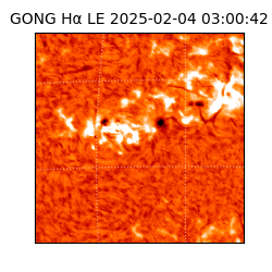 gong - 2025-02-04T03:00:42