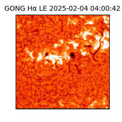 gong - 2025-02-04T04:00:42