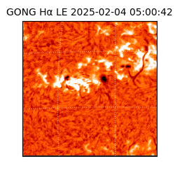 gong - 2025-02-04T05:00:42