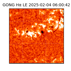 gong - 2025-02-04T06:00:42