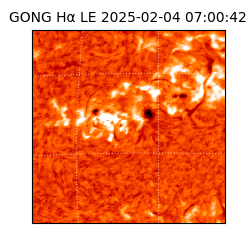 gong - 2025-02-04T07:00:42