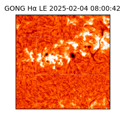 gong - 2025-02-04T08:00:42