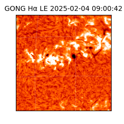 gong - 2025-02-04T09:00:42