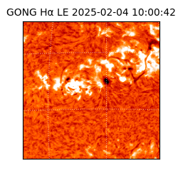 gong - 2025-02-04T10:00:42