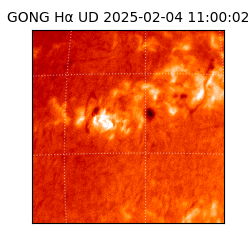 gong - 2025-02-04T11:00:02