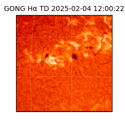 gong - 2025-02-04T12:00:22