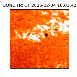 gong - 2025-02-04T18:01:42