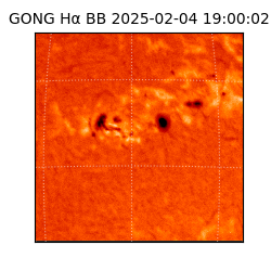 gong - 2025-02-04T19:00:02