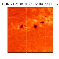 gong - 2025-02-04T22:00:02