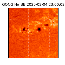 gong - 2025-02-04T23:00:02