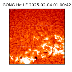 gong - 2025-02-04T01:00:42