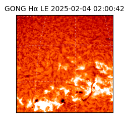 gong - 2025-02-04T02:00:42