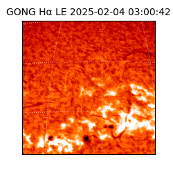 gong - 2025-02-04T03:00:42