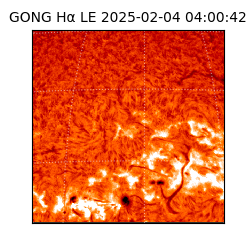 gong - 2025-02-04T04:00:42