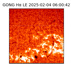 gong - 2025-02-04T06:00:42