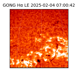 gong - 2025-02-04T07:00:42