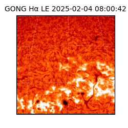 gong - 2025-02-04T08:00:42