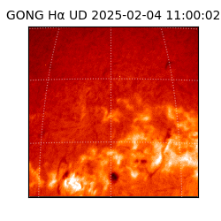gong - 2025-02-04T11:00:02