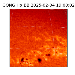 gong - 2025-02-04T19:00:02