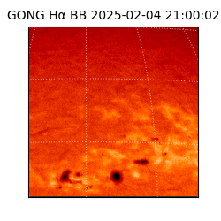 gong - 2025-02-04T21:00:02