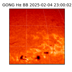gong - 2025-02-04T23:00:02