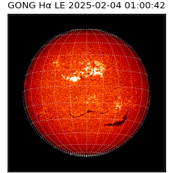 gong - 2025-02-04T01:00:42