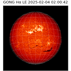 gong - 2025-02-04T02:00:42