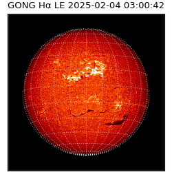 gong - 2025-02-04T03:00:42