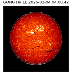 gong - 2025-02-04T04:00:42