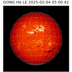 gong - 2025-02-04T05:00:42