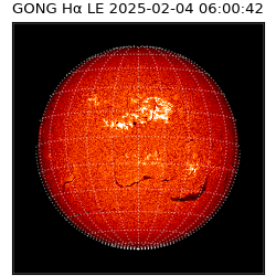 gong - 2025-02-04T06:00:42
