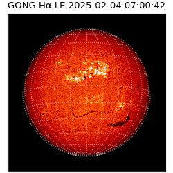 gong - 2025-02-04T07:00:42