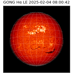 gong - 2025-02-04T08:00:42