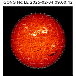 gong - 2025-02-04T09:00:42