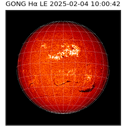 gong - 2025-02-04T10:00:42
